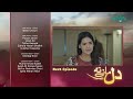 Dil Manay Na Episode 11 l Teaser l Sania Saeed l Aina Asif l Madiha Imam l Azfer Rehman l Green TV