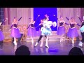 Cinderella Ballet Willhelm Mashup
