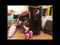 Compilation of photos of Callie plushies I also found on amazon