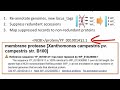 The NCBI Minute: Prokaryotic Genome Annotation Update