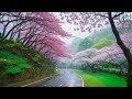 Spring Rain Ambience, Relaxing Rain Sound for Sleep With Falling Cheery Blossoms