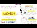 The Thyroid Gland and the Thyroid Hormone (T3 & T4) - Endocrine System