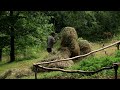 Bushcraft stone House in the forest. Alone construction