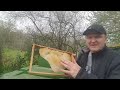 Naturwachs  die Geschichte: wie die Bienen damit umgehen.. https://youtube.com/@josefxx-kanal