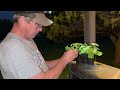 Getting things done! Planting YELLOW ￼CROOKNECK SQUASH & ZUCCHINI | Homestead VLOG 2024