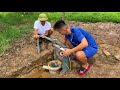 I build 220v electric Hydropower dam