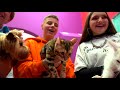 How to Turn a School into an Animal Shelter? || Funny Situations with Friends
