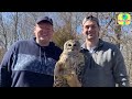 Brave Owl Needs A Hero To Help Him Fly Again | Rescued! | Dodo Kids