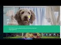 How to Make Presentations and More with Microsoft Sway - Beginners Tutorial