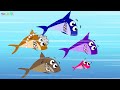 Baby Shark Song with Koala | Youkids Best Nursery Rhymes
