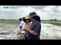 BEST EXAMPLE FARMER, Pano Kinakaya ang 60 Hectares na Palayan at Mas Malaki pang Pasaka sa Kanya?