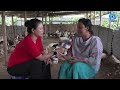 Agriculture Programme (Loubuk Maikei Panglashi) | Livestock Rearing on Duckery at Kangla Siphai