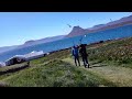 Vigur Island Puffins and Arctic Terns