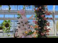 The Orchid Show: Florals In Fashion | New York Botanical Garden 2024