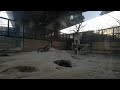 Wolves howling | Beijing Zoo