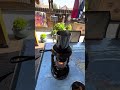 Lantern Cooker DIY mod