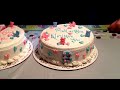 Twin baby gender cake reveal