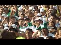 HINO DO PALMEIRAS - MANCHA VERDE