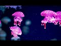 Aquarium 4K VIDEO (ULTRA HD) 🐠 Beautiful Coral Reef Fish - Relaxing Sleep Meditation Music #83