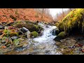 waterfall, river, 4k, ultra hd, bach, water, nature, landscape, Footage, short -Relaxation Music