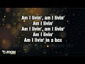 Living In A Box - Living In A Box - Karaoke Version from Zoom Karaoke