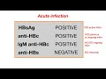 Hepatitis B Serology/Interpretation