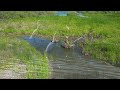 Highways to Wetlands, Klamath Falls, Oregon