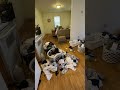 Evicted Tenant Leaves Property A Mess