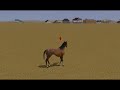 horse walks backwards
