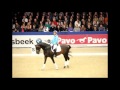 Carl Hester on Selecting A Dressage Horse