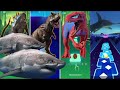 🦖The Gozilla vs The Carnosaurus Rex vs T-rex Spiderman vs Shark Megalodon Coffin Dance