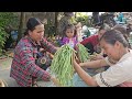 Early Season Long Beans: Harvest in Hours, Sell in Minutes/Daily Life/Le Thi Hon