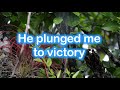 Victory in Jesus - Michael W Smith with Lyrics