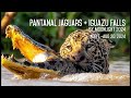 2024 Pantanal + Iguazu Falls Photography Adventure