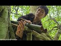 Build a complete tree shelter, survive alone in the forest, Bushcraft