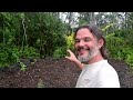 Hawaii Garden tour Dec '22 Part 1