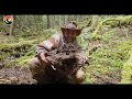 Bigfoot Skull Found in Canada?