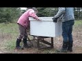Moving Horizontol Hive from Cold Microclimate after Winter Bee loss