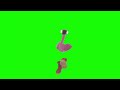 [FREE] dancing flamingos with boots on meme green screen