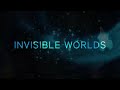 Invisible Worlds Now Open at the American Museum of Natural History