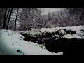 Snow Falling on Lake for 10 Hours | Relaxing, Sleeping, Meditation, Studying, Baby to Sleep