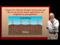 What Happens When Nitrogen is Applied to The Soil