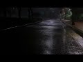 Streetlamps in the park at night and the cool sound of rain that helps you fall asleep ASMR