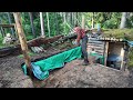 Wildlife Adventure: Reconstructing My Shelter and Feeding Bears and Wild Boars!