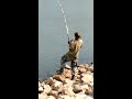 Catfishing at the Kentucky Dam!!