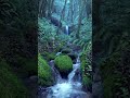 Relaxing Rain Noise + Forest Stream | 10-Hour Version on Our Channel!