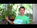 Overwintering Peppers - Keep Your Plants Alive for Years - Pepper Geek