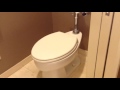 Powerful Kohler toilet flush on a flushometer
