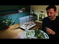 How to: I made a nano Nature Aquarium (No CO2, aquascaping tutorial)