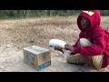Experiment : Making Pigeon Bird Trap using Paper Box